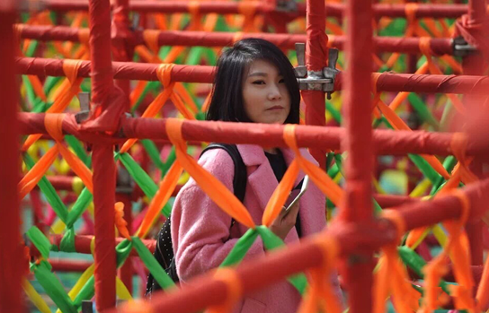 1519636944785048939.png c.png