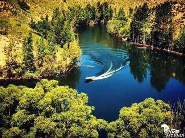 1519728314967013564.jpg 1.jpg