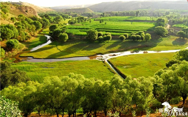 1519728490704042609.jpg 1.jpg