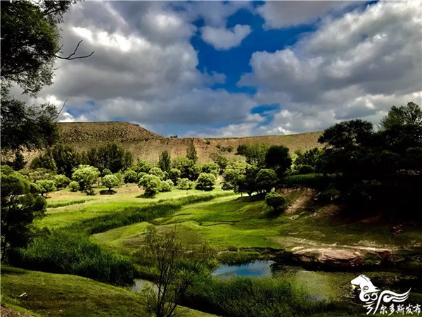 1519729096224005770.jpg 1.jpg