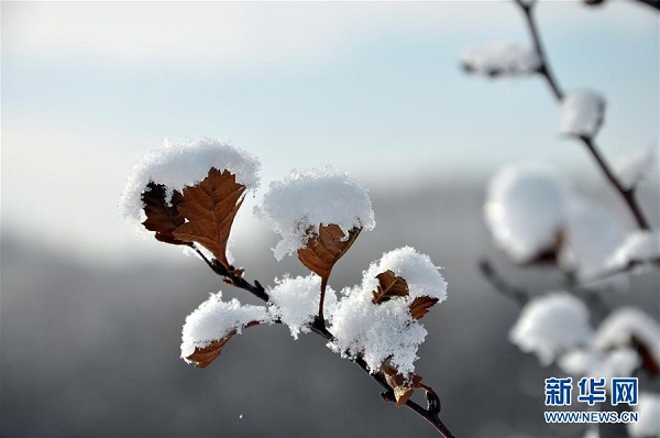 1513234691729050449.jpg 1513070037906002127.jpg