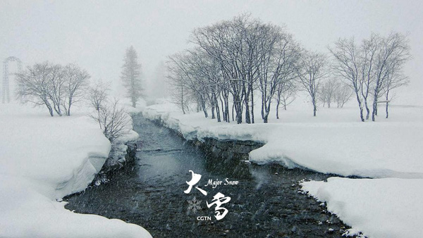 1512630952254044811.jpg 12.jpg