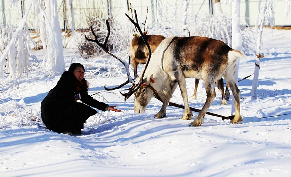 1513217211058032921.jpg 1513069812706020945.jpg