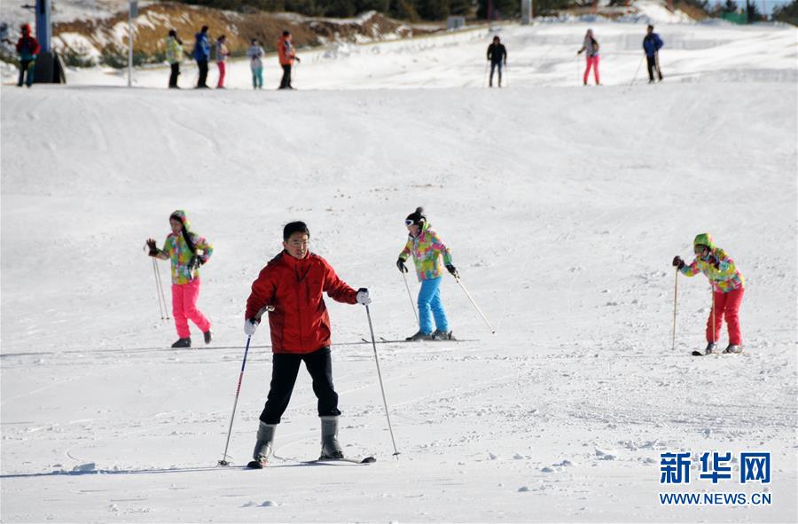 1513940152063016552.jpg 14.jpg