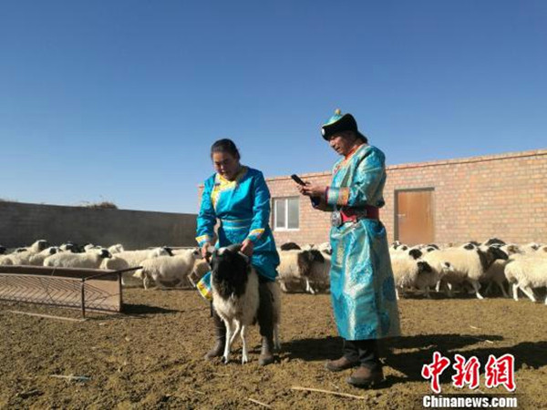 1510534665686034387.jpg 33333_副本.jpg