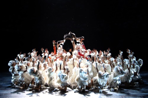 1510898161241047674.jpg 11.jpg