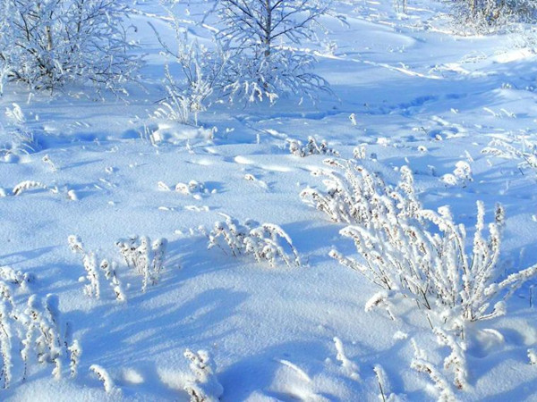 1511313237820077174.jpg 33_副本.jpg