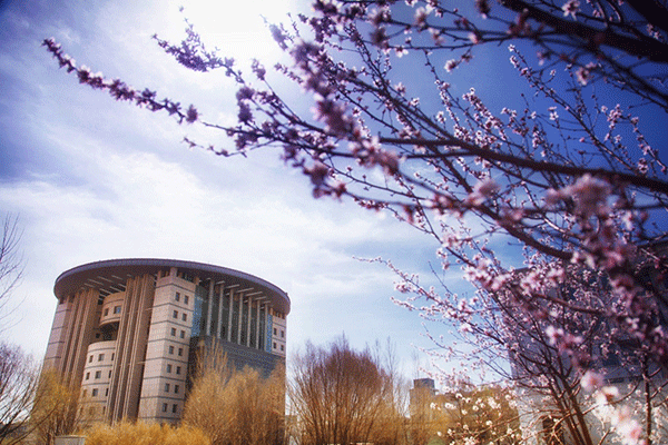 1516351248860008593.gif 49-1.gif