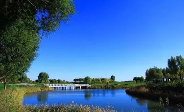 1515548717127063251.jpg 1.jpg