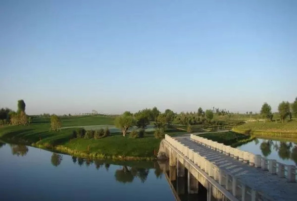 1515548978878033196.jpg 1.jpg