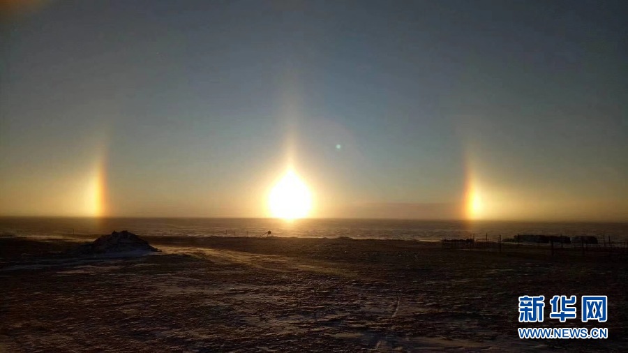 1516084453439003536.jpg 71.jpg