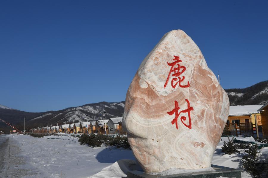 1516085131809085405.jpg 51.jpg