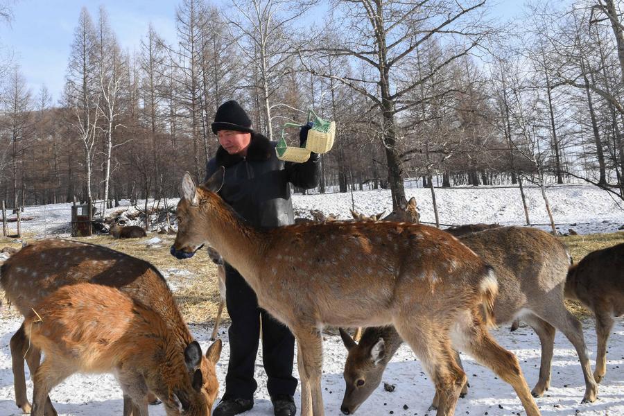 1516085162387026739.jpg 53.jpg