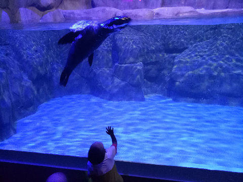 1516174215340016961.png 13.png