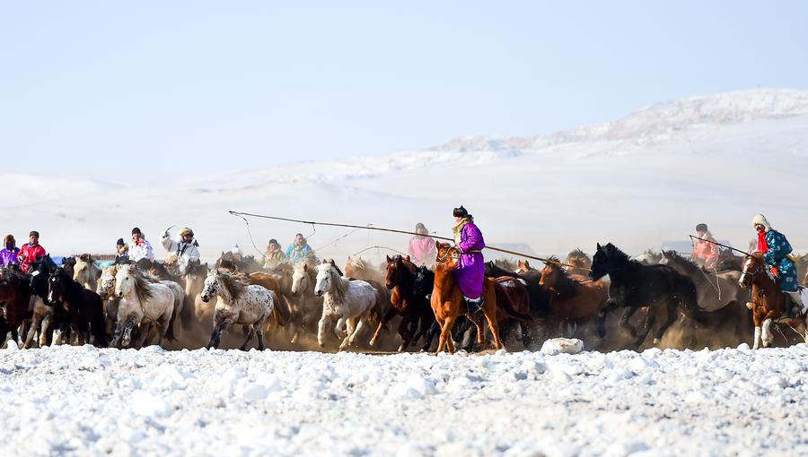 1516582257031017610.jpg 51.jpg