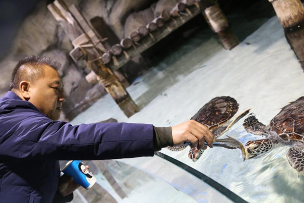 1516607498305089915.jpg aninal_副本.jpg