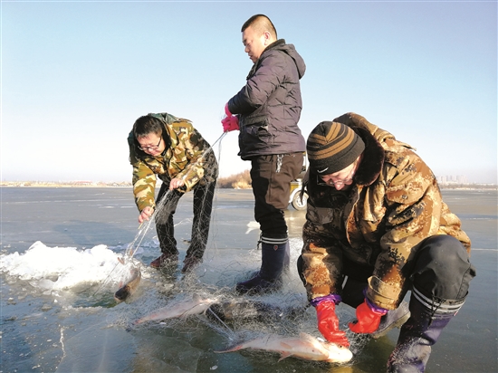 1516762717389040072.jpg 3.jpg