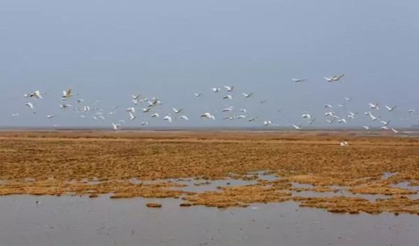 1521705738810083924.jpg 1.jpg