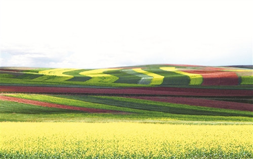 1520237435452062472.jpg res16_attpic_brief_副本.jpg