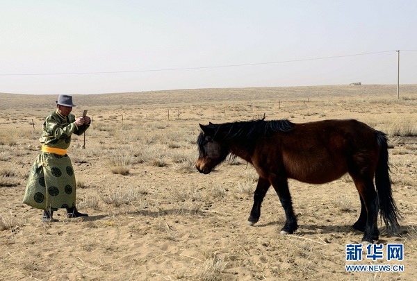 1522055529885095418.jpg g2.jpg