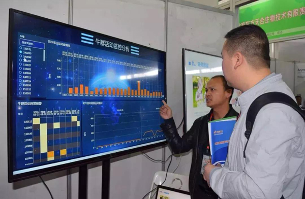 1522228814570045234.jpg 02.jpg