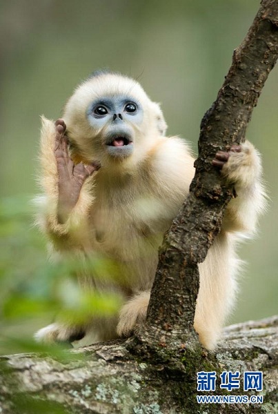 1522310140851034110.jpg 129840153_15222915359841n.jpg