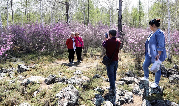 1526262368942023791.jpg t4.jpg