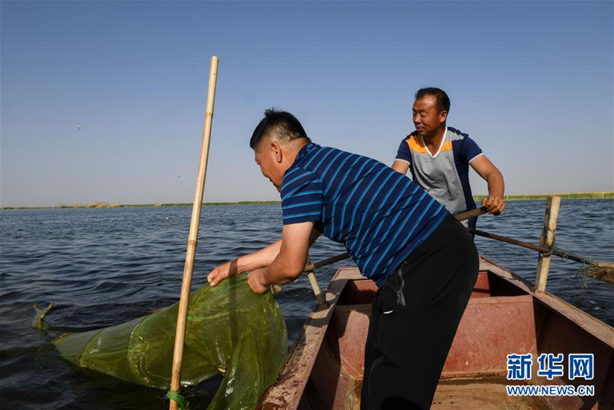 1526869587319081985.png h1.png