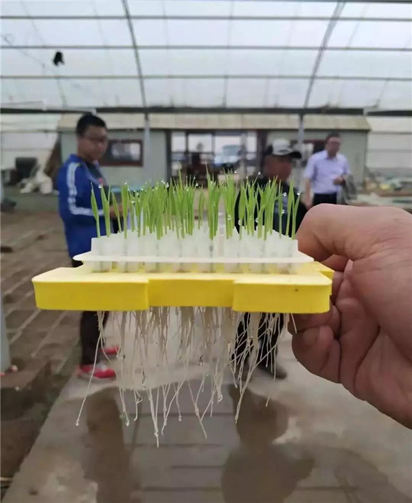 1527499859119047733.jpg digital farm.jpg