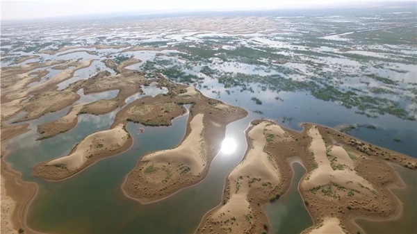 1527729979341032910.jpg 1.jpg