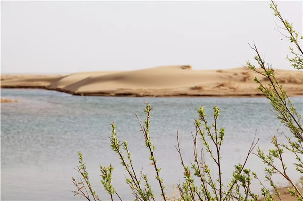 1527730224423039749.jpg 1.jpg