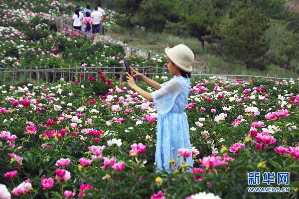 1528195395975062771.jpg q2.jpg