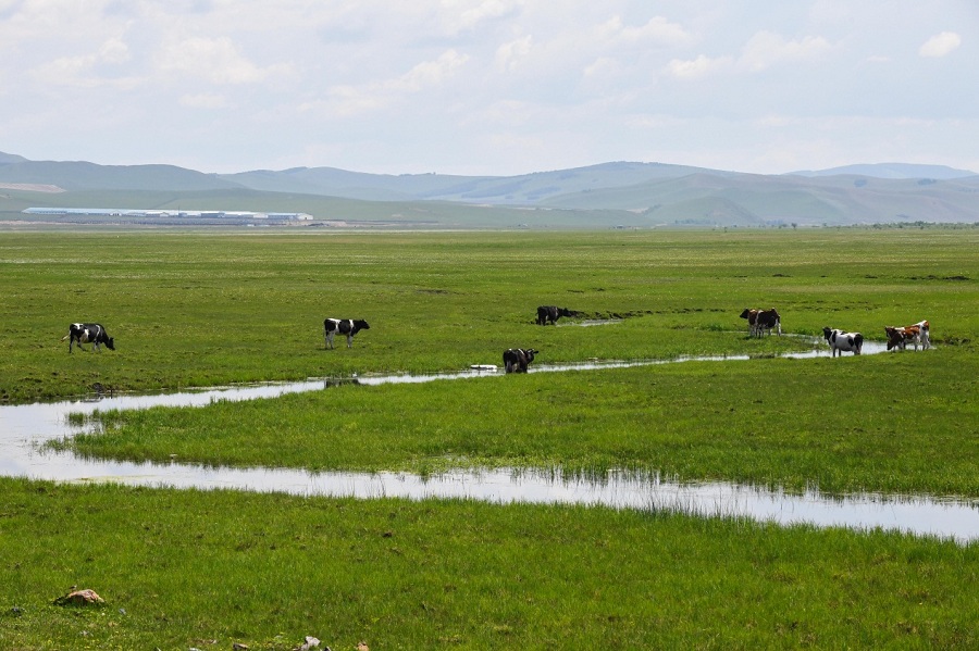 1528871821380039264.jpg a1.jpg