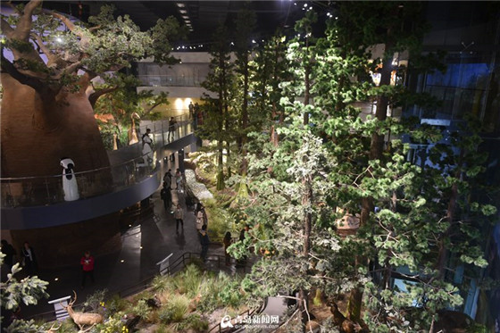 1521367313775024885.jpg 11.jpg