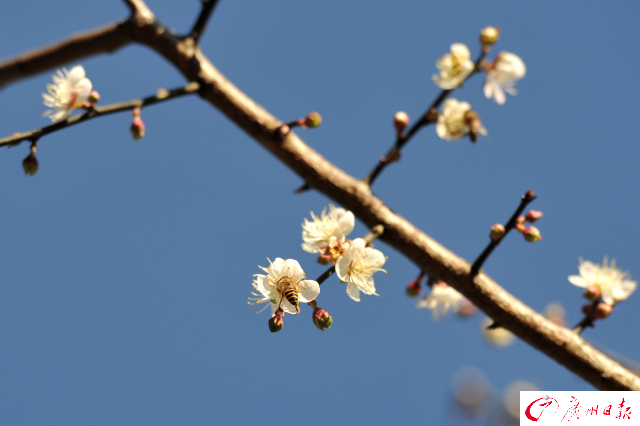 1514250211697019223.jpg f936f4b6-23cf-4cdc-b699-9532c9d32882.jpg