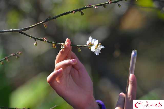 1514250239318028808.jpg aa74022e-6f87-43a1-913c-18b6b37931e9.jpg