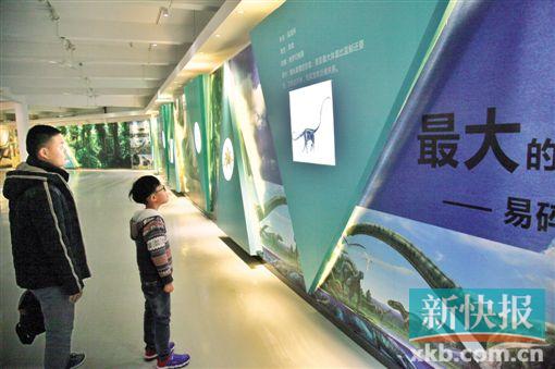 1514448540444021083.jpg A05_1269902_kmgldh_1514207378770_s.jpg