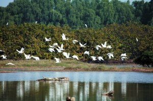 1521786105983004333.jpg 3.jpg