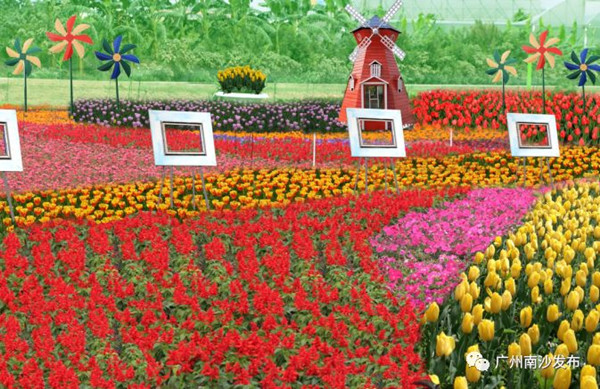 1516772844933081997.jpg 2018123142228_81007.jpg