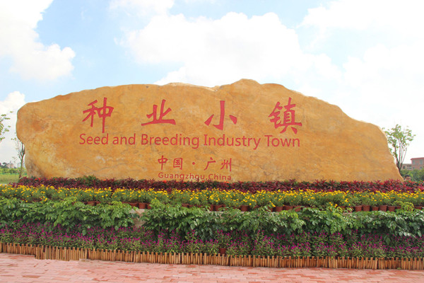 1516772870338098196.jpg e1179f8a-0f11-42d3-8425-c5feeb74f3eb.jpg