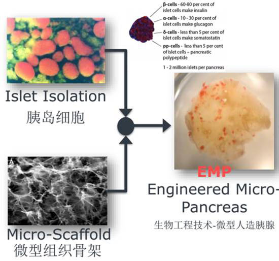 1516869600037049390.png 0810789cd62e1bac49e828.png