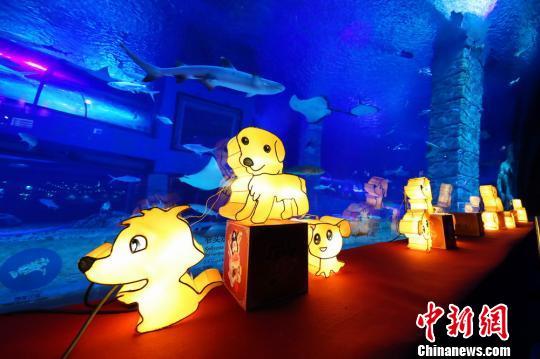 1517995711903038145.jpg 9fa11efcf821a9e7b332d455f026c800.jpg