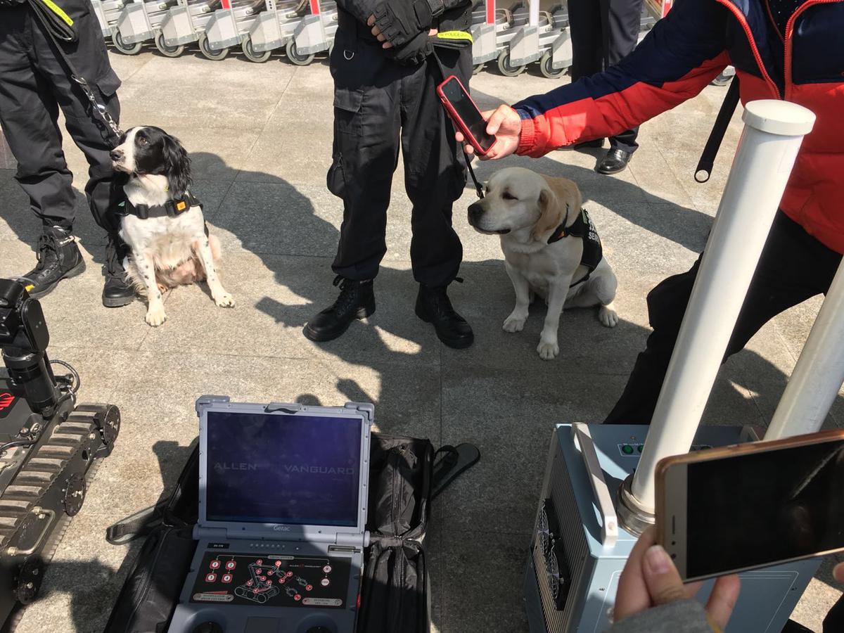 1518568656675003242.jpg 1518568656675003242.jpg