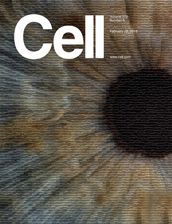 1519697633253032963.jpg cover.tif.jpg