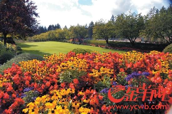 1519796939300010849.jpg 507b9d7625511c002c1b25.jpg