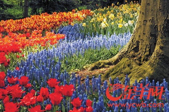 1519796971066020661.jpg 507b9d7625511c002c1b24.jpg