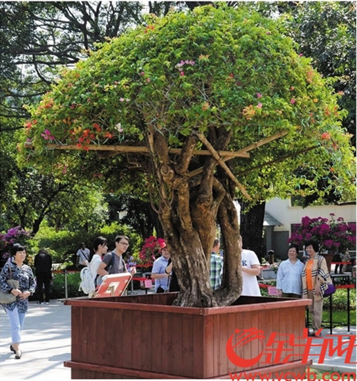 1509693132825020458.jpg 1.jpg