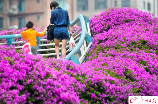 1509001162873044012.png 412e5833-7cf5-4d61-a3f1-8832e92fd359.png