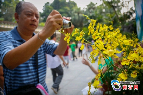 1505984837748054573.png 7427eaa176f51b2a08613f.png