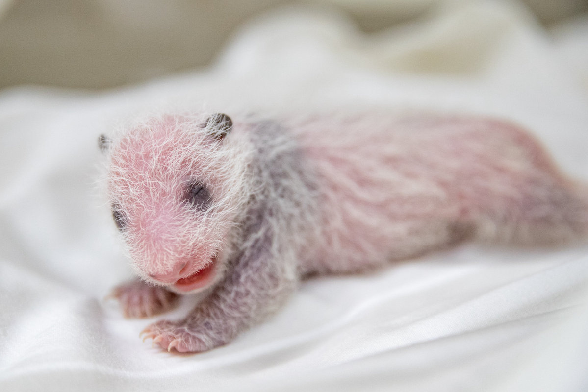 1532655622925019320.jpg 1532655622925019320.jpg